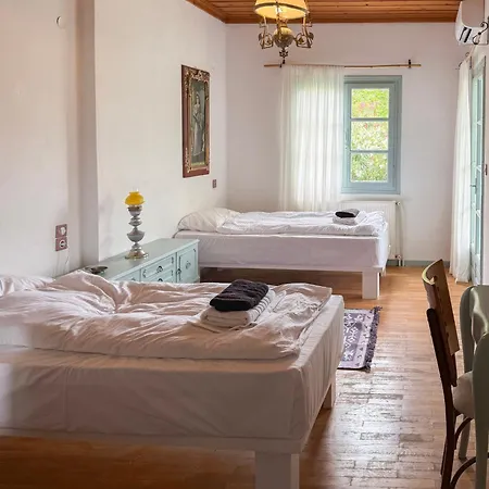 Guest Guest house