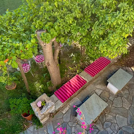 Guest house Guest 3*
