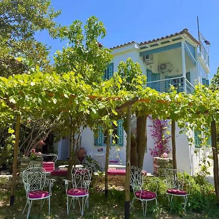 Guest Guest house
